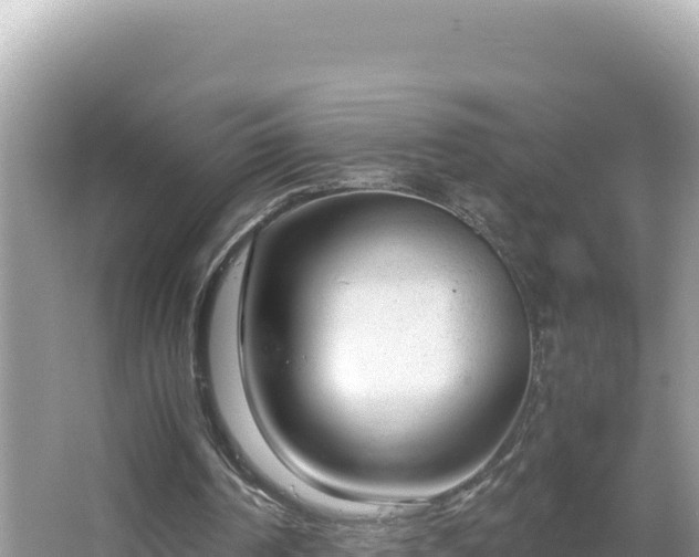 X0000064730194200602131259