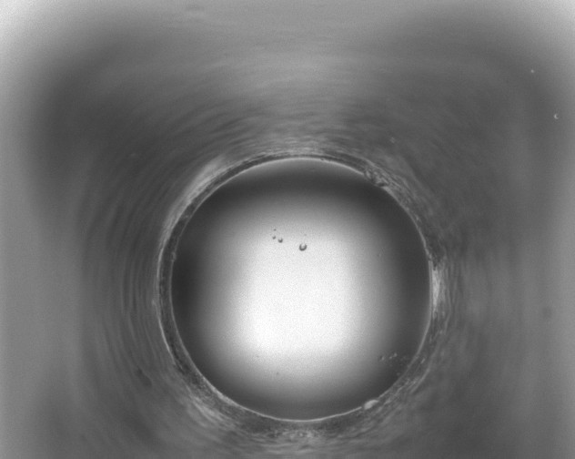 X0000064730195200602131259