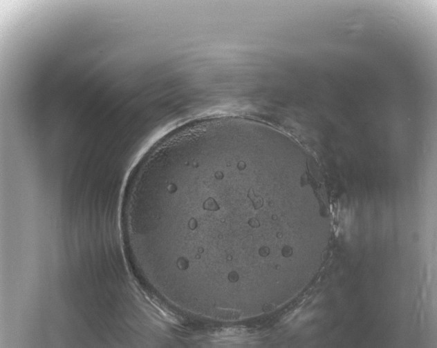 X0000064730196200602131259