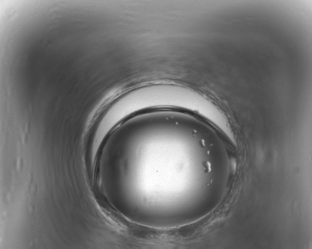 X0000064730197200602131259