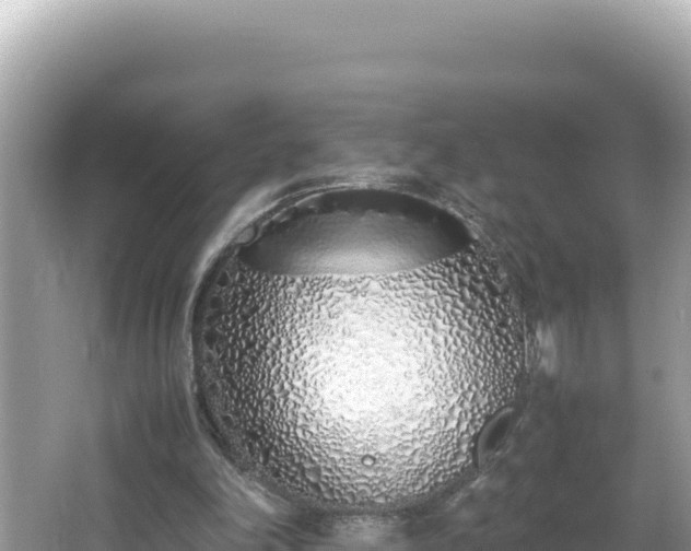 X0000064730198200602131259