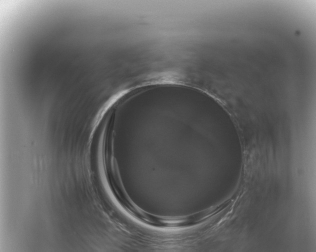 X0000064730200200602131259