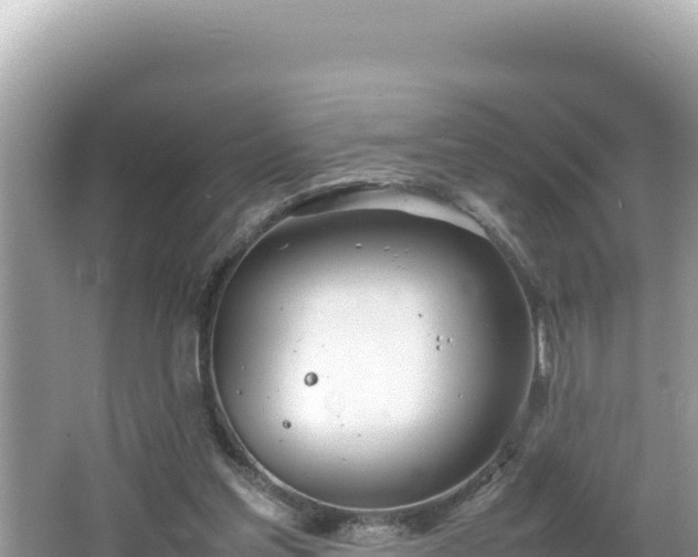 X0000064730205200602131259