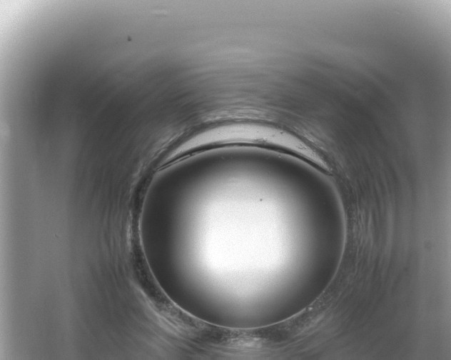 X0000064730206200602131259