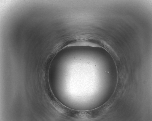 X0000064730209200602131259