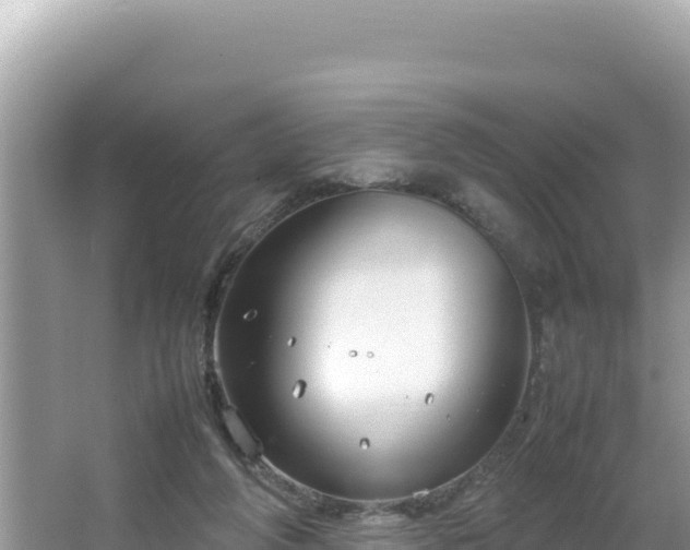 X0000064730210200602131259