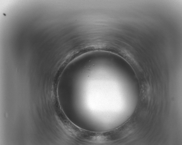 X0000064730212200602131259