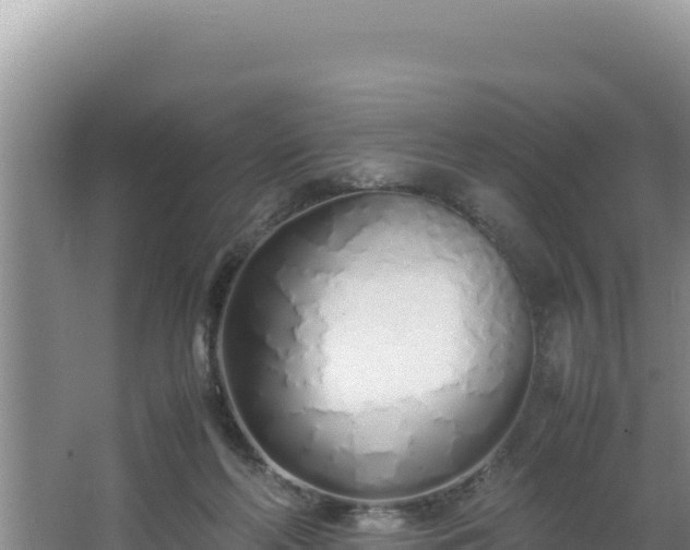 X0000064730214200602131258