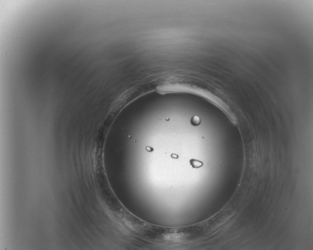 X0000064730216200602131258