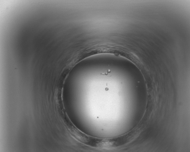 X0000064730217200602131258