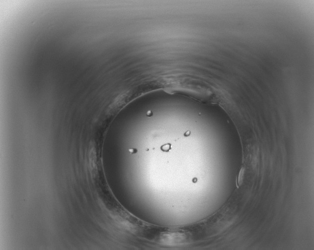 X0000064730220200602131258