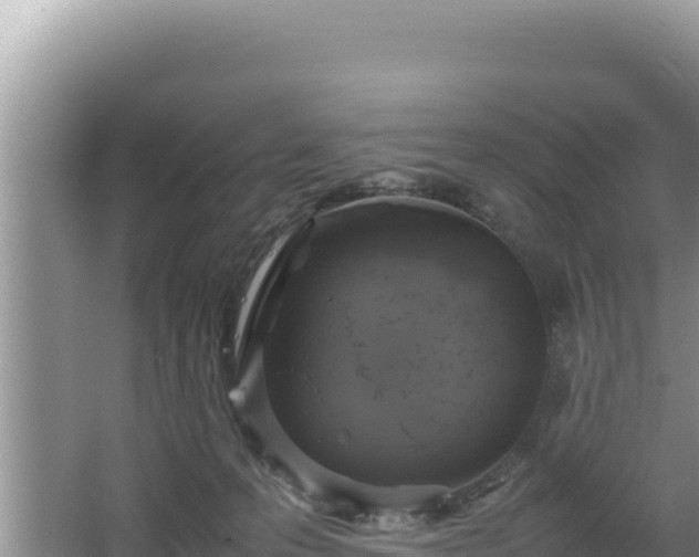 X0000064730223200602131258