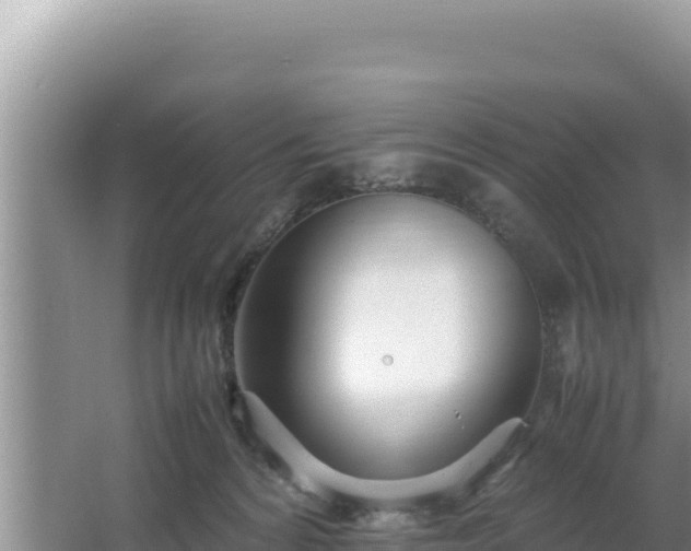 X0000064730224200602131258