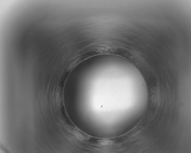 X0000064730226200602131258