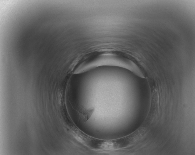 X0000064730227200602131258