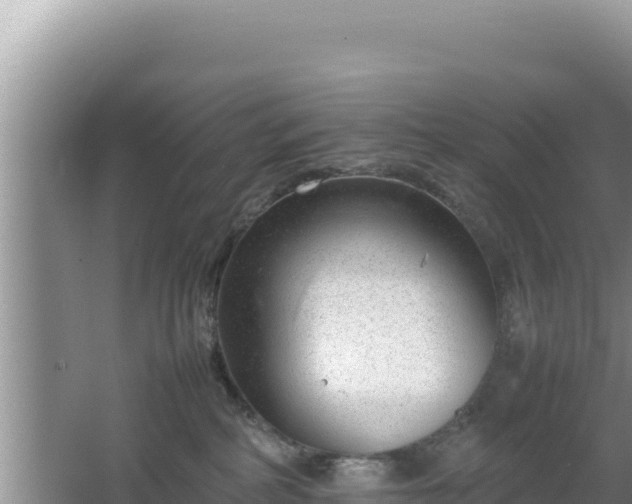 X0000064730234200602131258