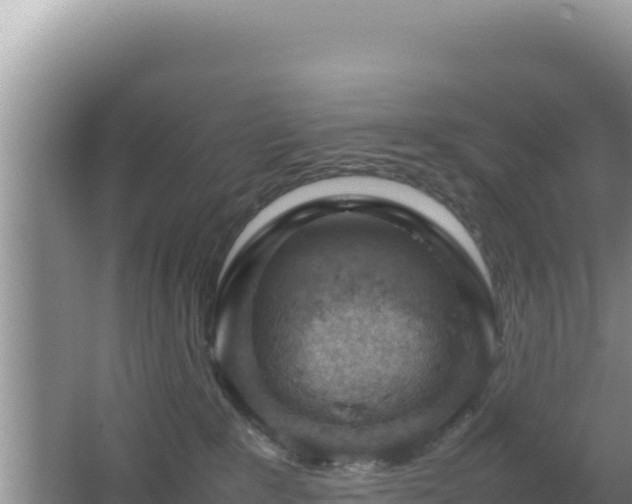 X0000064730235200602131258