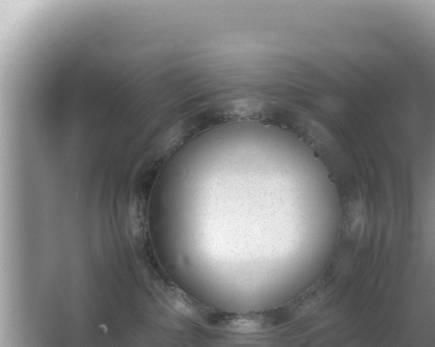 X0000064730236200602131258