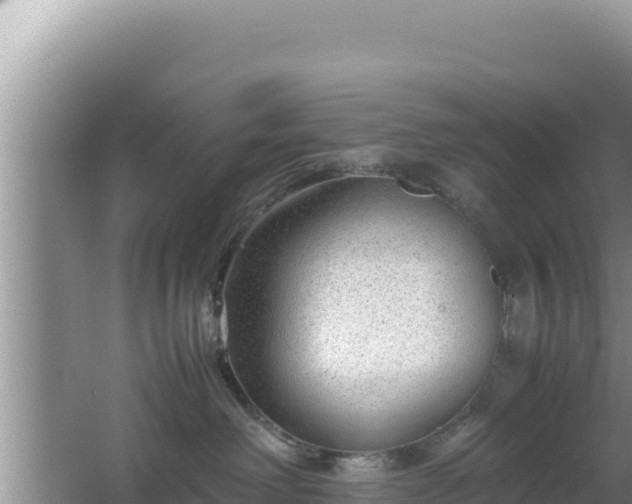 X0000064730238200602131258