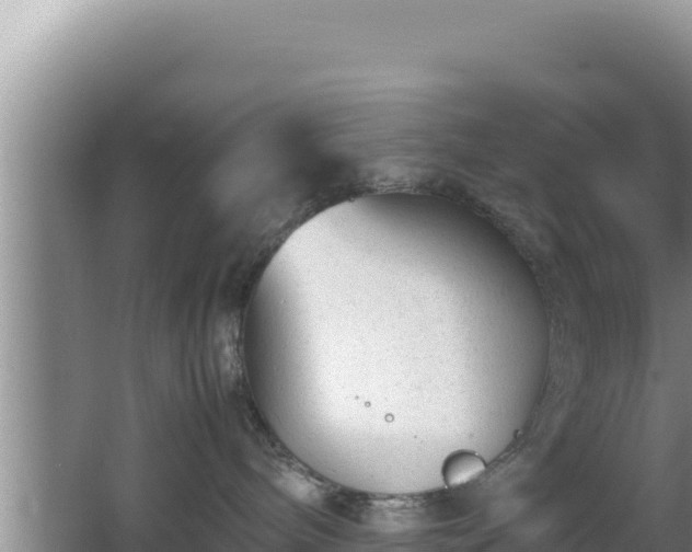 X0000064730240200602131258