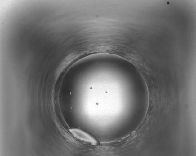 X0000064730242200602131257