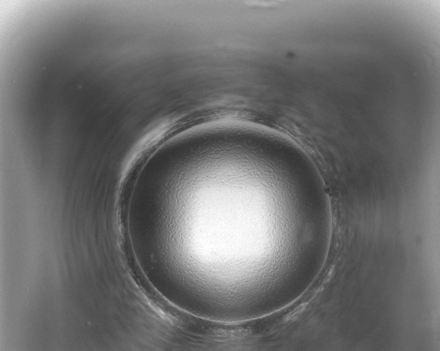 X0000064730245200602131257