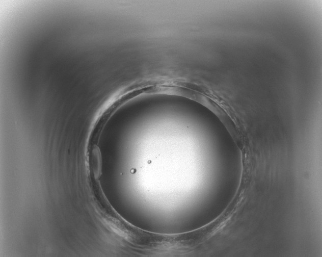 X0000064730246200602131257