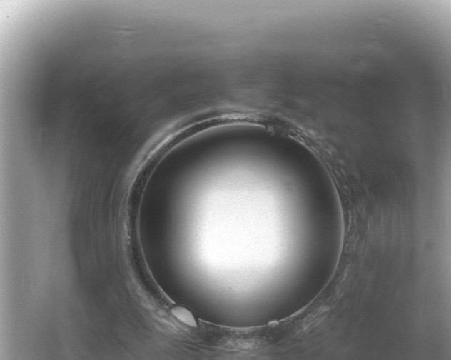 X0000064730247200602131257