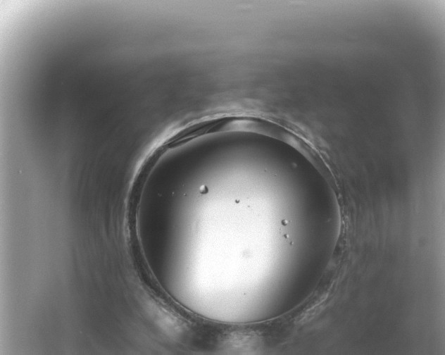 X0000064730248200602131257