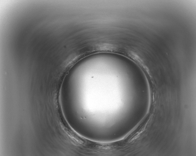 X0000064730249200602131257