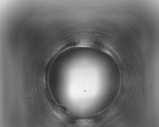 X0000064730251200602131257