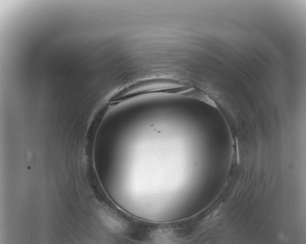 X0000064730252200602131257