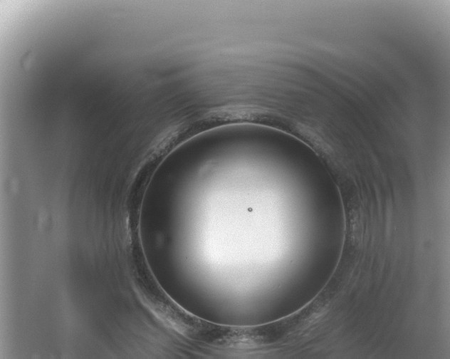 X0000064730254200602131257