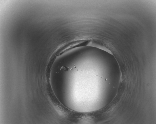 X0000064730256200602131257