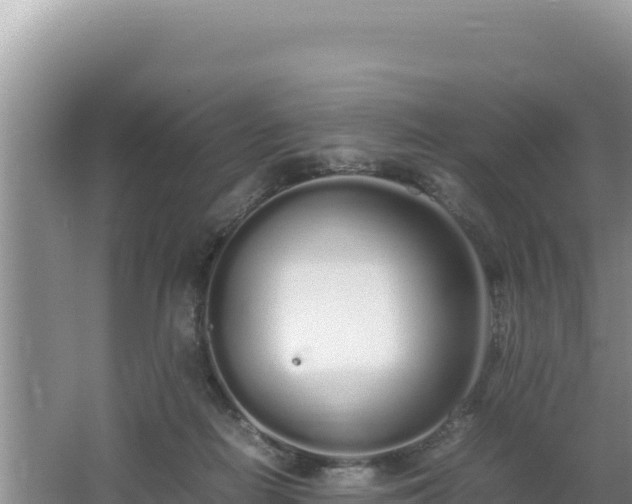 X0000064730266200602131258