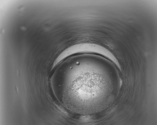 X0000064730269200602131258