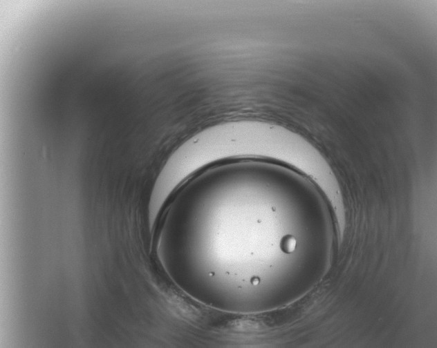 X0000064730272200602131258