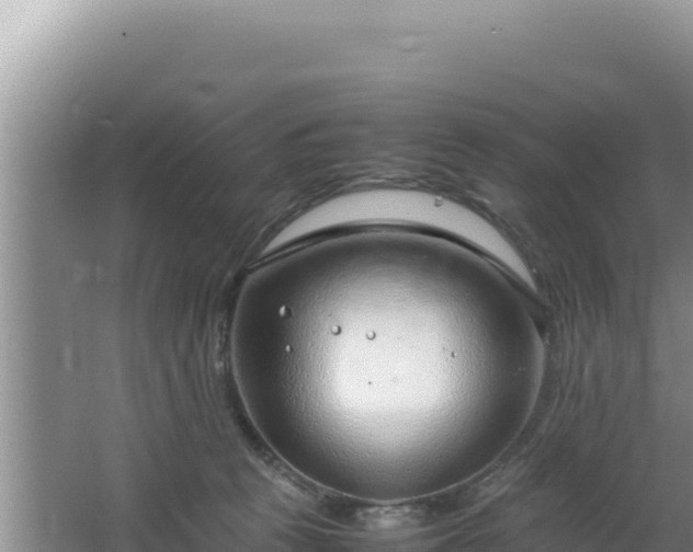 X0000064730273200602131258