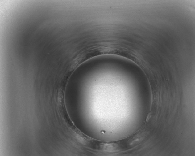 X0000064730277200602131258