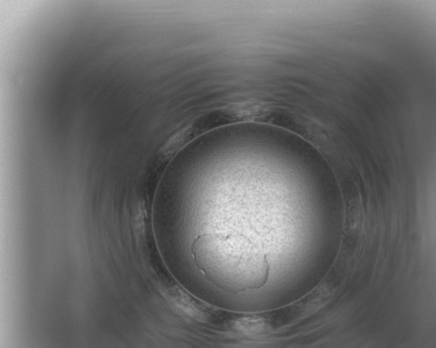 X0000064730279200602131258