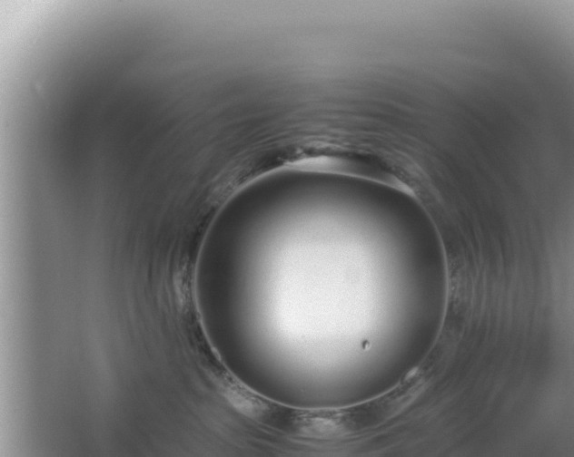 X0000064730285200602131258