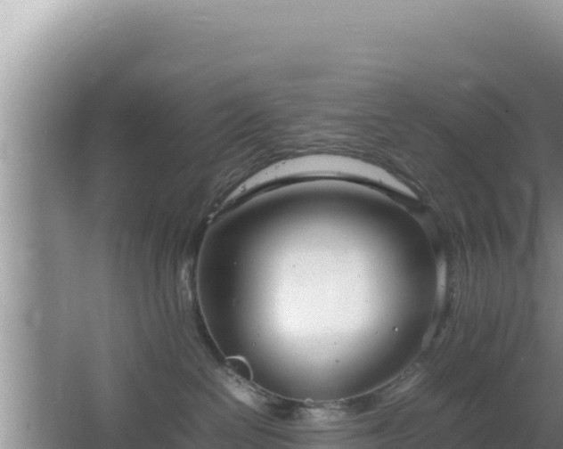 X0000064730286200602131258