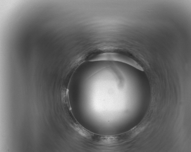 X0000064730288200602131258