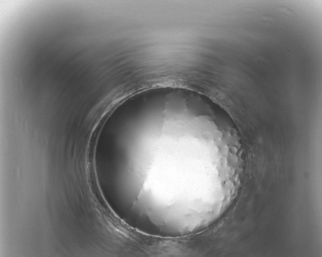 X0000064730290200602131257