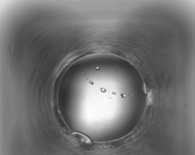 X0000064730291200602131257