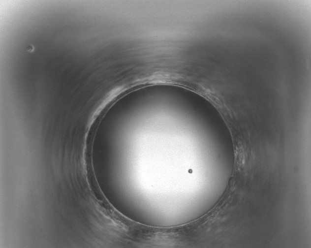 X0000064730292200602131257