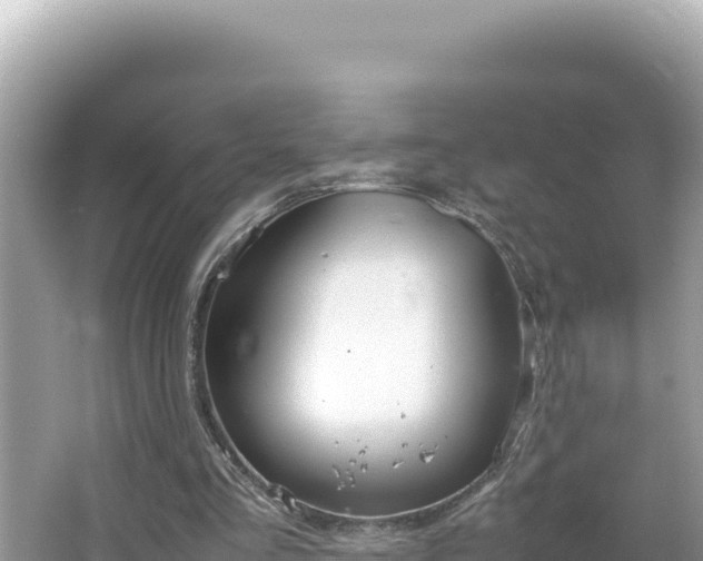 X0000064730293200602131257