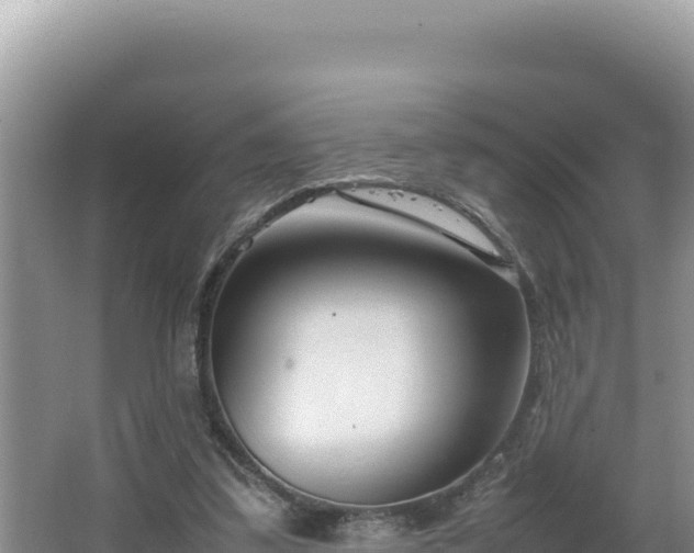 X0000064730299200602131257