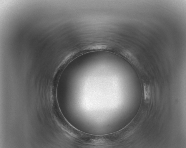 X0000064730300200602131257