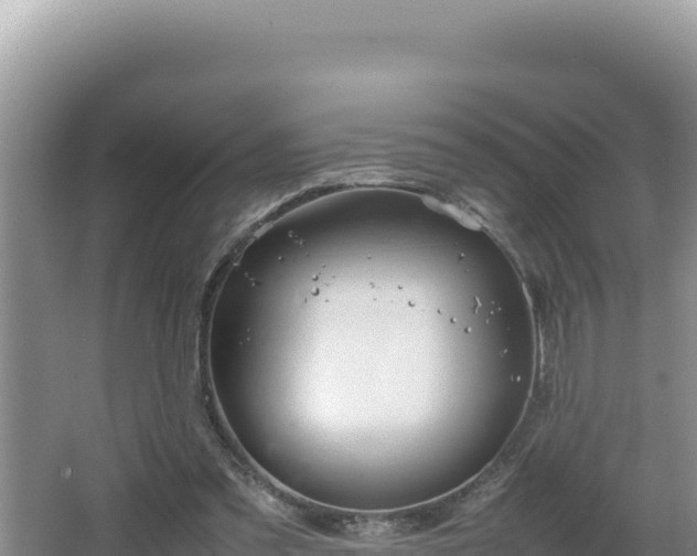 X0000064730301200602131257